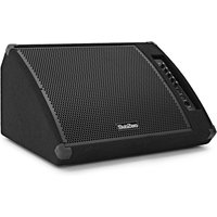 SubZero 260W 15" Active Floor Monitor