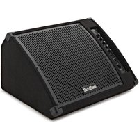 SubZero 230W 12" Active Floor Monitor