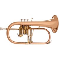 Elkhart 100FHR Student Flugel Horn