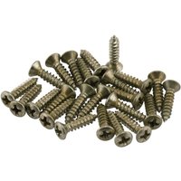 24 Schrauben für Reglerplatten/Schlagbretter für Fender Road Worn-Instrumente