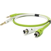 Neo Oyaide d+ XFT Class B (XLR Female to 1/4 TRS) 1 Metre