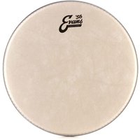 Evans 56 Calftone 13 Drum head
