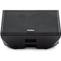 SubZero Praxis12 DSP Musicians Monitor