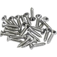 Fender Pickguard/Control Plate Mounting Screws 24 Chrome