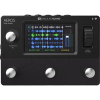 Singular Sound Aeros Looper
