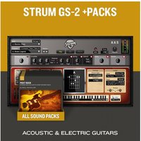 AAS Strum GS-2+Packs