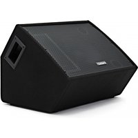 SubZero C10M Passiver Bühnenmonitor
