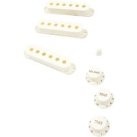 Fender Pure Vintage 60s Stratocaster Accessory Kit