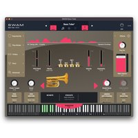 SWAM Horns and Tubas