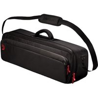 DAddario PW-BLPBT-01 XPND Transporter Bag 1
