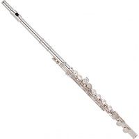 Trevor James TJ10XP Student Flute Silver Riser and Lip