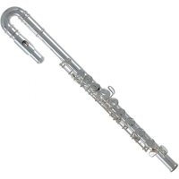 Roy Benson FL102 Flute for Children Curved Head
