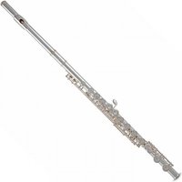 Roy Benson FL402E2 Flute