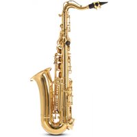 Roy Benson AS201 Alto Saxophone for Children