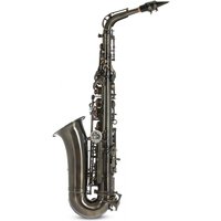 Roy Benson AS202 Alto Saxophone Frosted Black