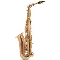 Roy Benson AS202 Alto Saxophone Bronze