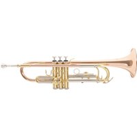 Roy Benson TR202 Trumpet Gold Brass Bell