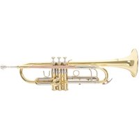 Roy Benson TR403 Trumpet Lacquer