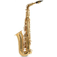 Roy Benson AS302 Alto Saxophone