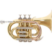 Roy Benson PT302 Pocket Trumpet