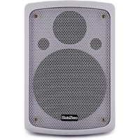 SubZero 100W 8" Passive PA Speaker White