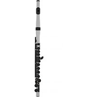Nuvo Student Flute Outfit Metallic Silver