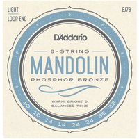DAddario EJ73 Mandoline Streicher Phosphorbronze Licht 10-38