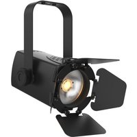 Chauvet DJ EVE TF-20X LED Accent Luminaire