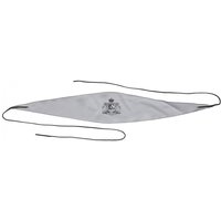 BG English Horn Swab