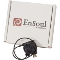 EnSoul 250Hz High Pass Filter Pan Pickup 20 Lead