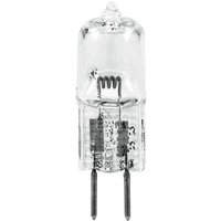 Omnilux 24V/100W GY-6.35 Effect Lamp