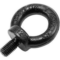 Safetex Black Eyebolt M12/20mm