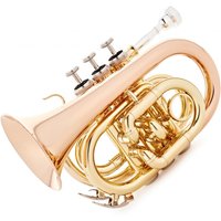 Roy Benson PT101G Pocket Trumpet Gold Brass Bell