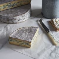 The Courtyard Dairy Cote Hill Blue listed by Real Food Hub
