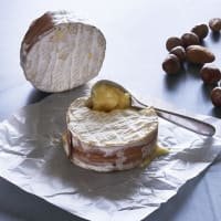 The Courtyard Dairy Winslade listed by Real Food Hub