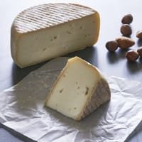 The Courtyard Dairy Yorkshire Pecorino (Fresco) listed by Real Food Hub