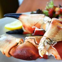 Berwick Shellfish Company Jumbo Whole Cooked Crab Claws 2kg listed by Real Food Hub