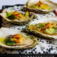 Berwick Shellfish Company Lindisfarne Oysters ( x 12 ) listed by Real Food Hub