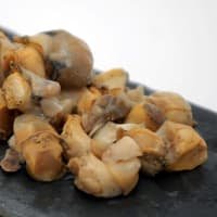 Berwick Shellfish Company Whelk Meat -1kg listed by Real Food Hub