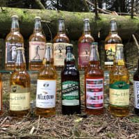 CiderOnline Mixed Artisan Cider Case listed by Real Food Hub