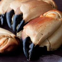 Berwick Shellfish Company Medium Whole Cooked Crab Claws (1kg) listed by Real Food Hub