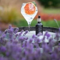 Cotswolds Distillery Cotswolds Dry Gin Essence listed by Real Food Hub
