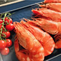 Berwick Shellfish Company Giant Whole Tiger Prawns - 6 Pack listed by Real Food Hub