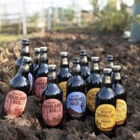 The Wold Top Brewery Dark Mix Case 12x500ml listed by Real Food Hub