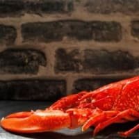 Berwick Shellfish Company Whole Cooked Lobster listed by Real Food Hub