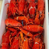 Berwick Shellfish Company 10kg Cooked Lobster - Bulk Buy Offer listed by Real Food Hub