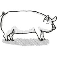 Huntsham Heritage Meats Middle White Pork - Quarter Pig listed by Real Food Hub
