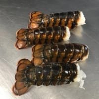 Berwick Shellfish Company Scottish Lobster Tails Pack of x 3 listed by Real Food Hub