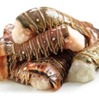 Berwick Shellfish Company Rock Lobster Tails Pack of 4 listed by Real Food Hub