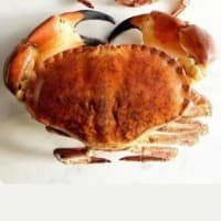 Berwick Shellfish Company Cooked Crab listed by Real Food Hub